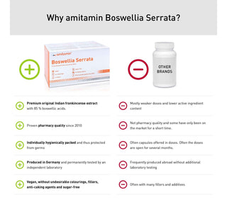 amitamin Boswellia Serrata - Fully Vegan Quality (1 Box 120 Days Supply)